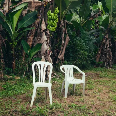 nuevayol